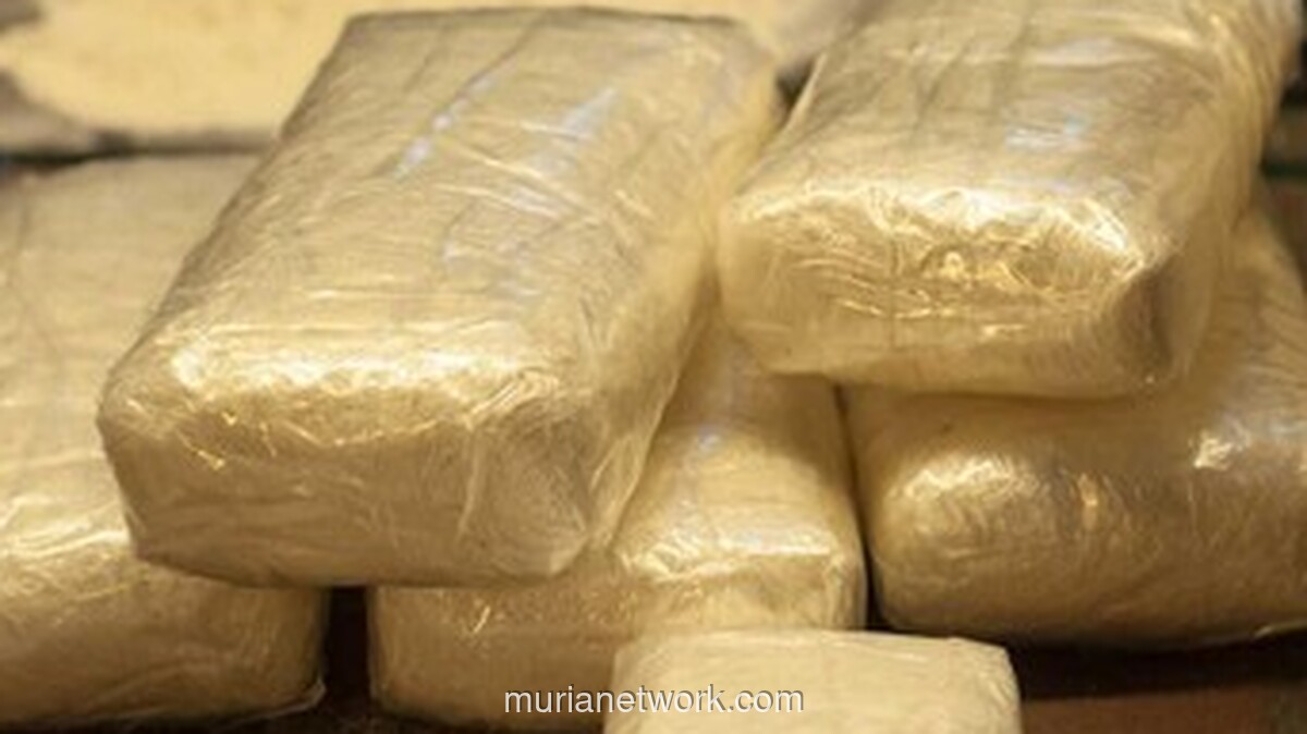 Prancis dan AS Sita 2,4 Ton Kokain dari Kapal di Pasifik