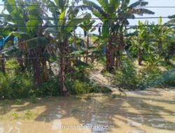 Banjir Rendam 34 Desa di Grobogan, Lebih dari 5.200 KK Terdampak