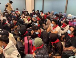 Kemlu Ungkap 4.882 WNI di Kamboja Ingin Pulang, Mayoritas Bekerja di Sektor Online Scam