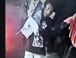 Video Viral Dugaan Angkut Mayat di Tambora Ternyata Biawak