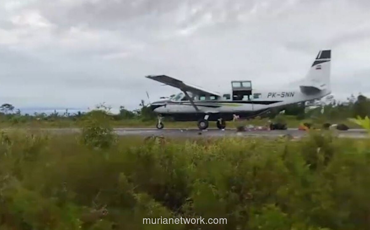 KKB Tembak Pesawat di Papua Selatan, Dua Pilot Tewas