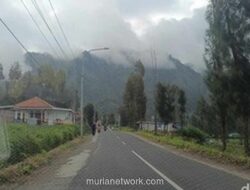 Tujuh Koper Wisatawan Thailand Hilang Diduga Dicuri di Kawasan Bromo