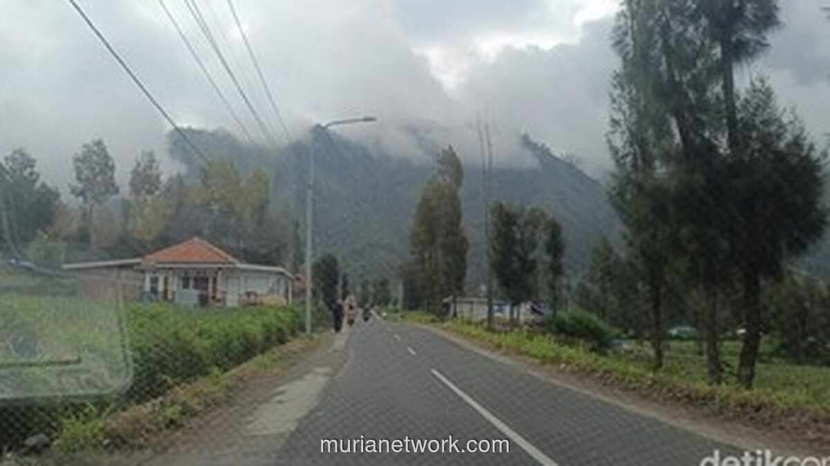 Tujuh Koper Wisatawan Thailand Hilang Diduga Dicuri di Kawasan Bromo