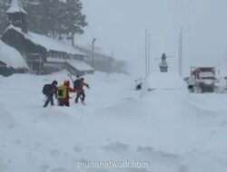 Delapan Tewas, Satu Hilang dalam Longsor Salju di Sierra Nevada