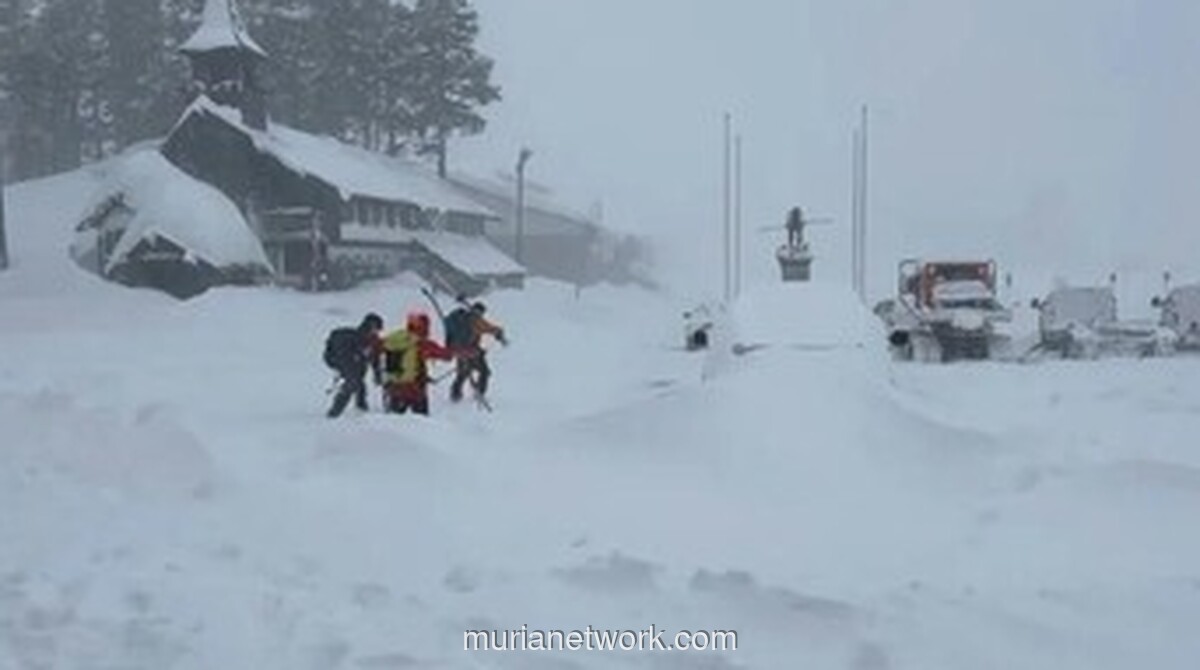 Delapan Tewas, Satu Hilang dalam Longsor Salju di Sierra Nevada