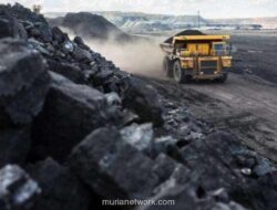 Ekspor Batu Bara Anjlok, Sawit dan Besi Baja Jadi Penyelamat di 2025