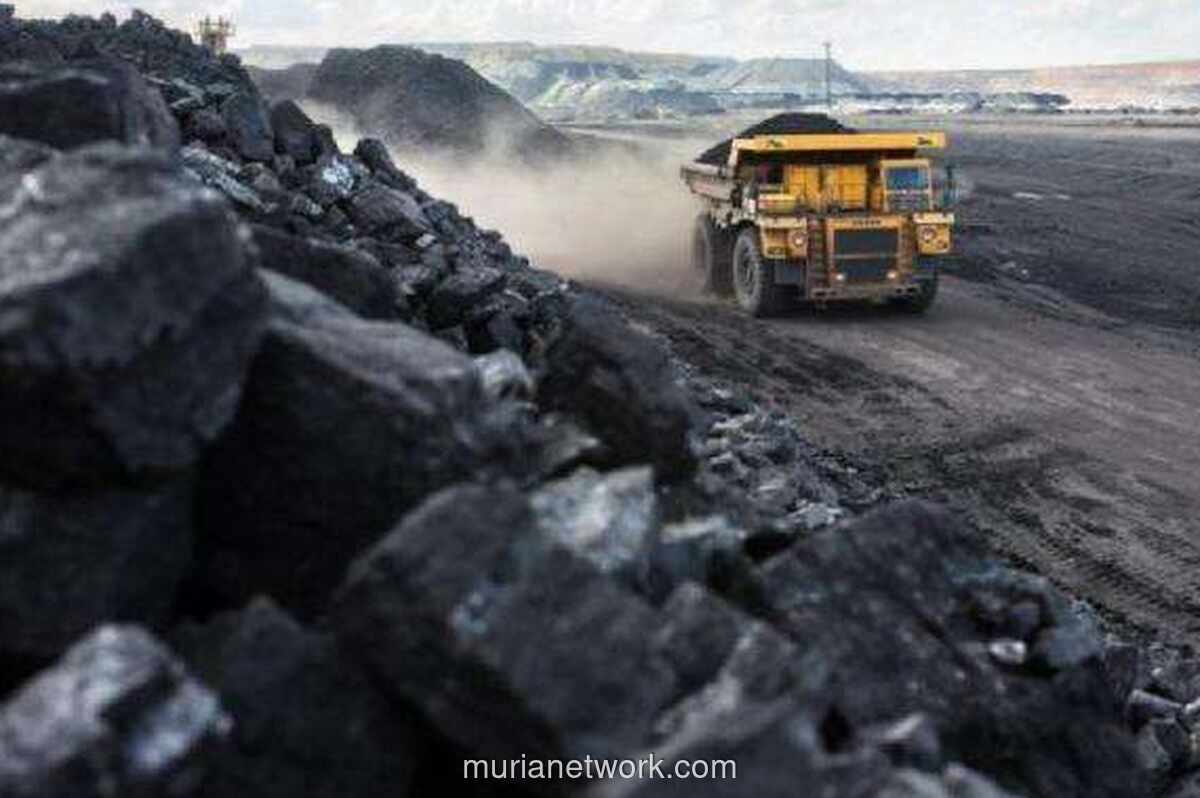 Ekspor Batu Bara Anjlok, Sawit dan Besi Baja Jadi Penyelamat di 2025