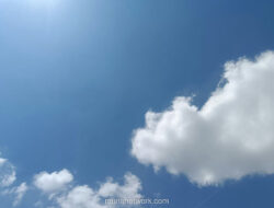 Pria di Kudus Cabuli Anak Kenalan, Modusnya Janjikan Jajanan