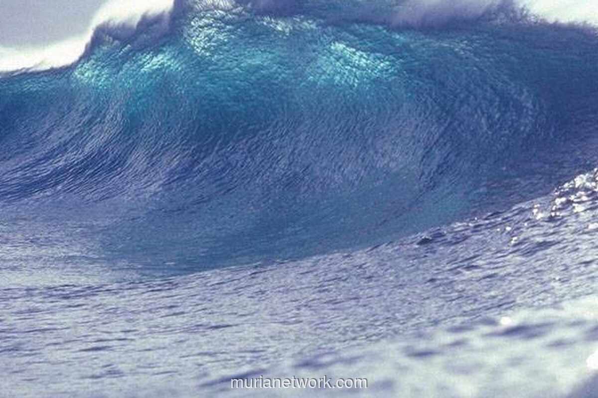 BNPB Akui Anggaran Mitigasi Minim, Andalkan Pinjaman Luar Negeri