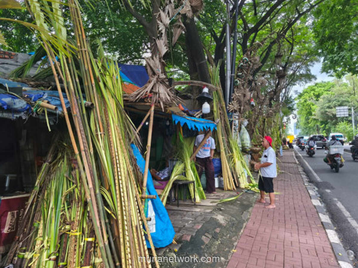 Janur Palmerah: Kisah di Balik Simbol Cinta yang Tak Pernah Tidur