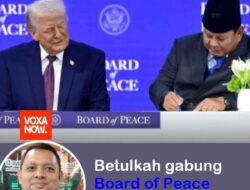 Kisah Purba di Balik Gemuruh Kucing Rumahan