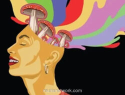 Jamur Halusinogen Yunnan: Misteri Kurcaci yang Mengintai di Balik Makanan Lezat