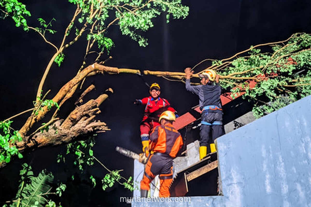 Sleman Porak-Poranda Diterjang Hujan Deras dan Angin Kencang