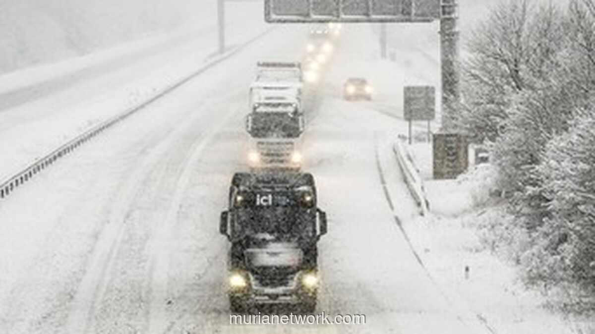 Salju Maut Jepang Tewaskan 30 Nyawa, Nenek 91 Tahun Tertimbun 3 Meter