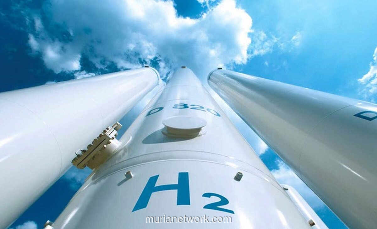 Target 200 Ton Hidrogen Hijau pada 2026, Pemerintah Pacu Ekosistem Baru