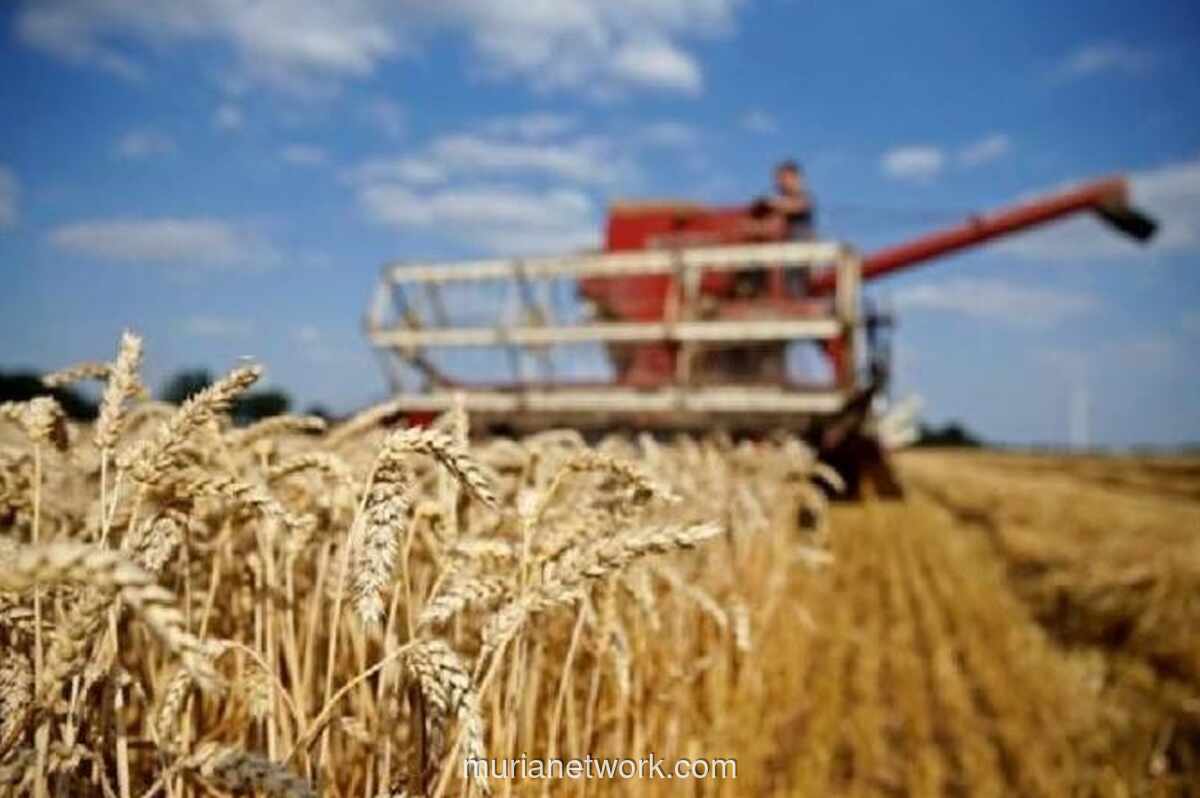 Delegasi AS Serbu Jakarta, Incar Pasar Agribisnis Indonesia