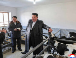 Kim Jong-un Buka Peternakan Modern, Sinyal Transformasi Desa Korea Utara