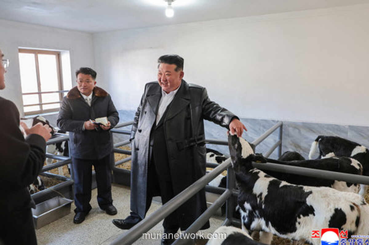 Kim Jong-un Buka Peternakan Modern, Sinyal Transformasi Desa Korea Utara