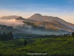 Cuaca Ekstrem Paksa Pendakian Gunung Gede Pangrango Ditutup Sementara
