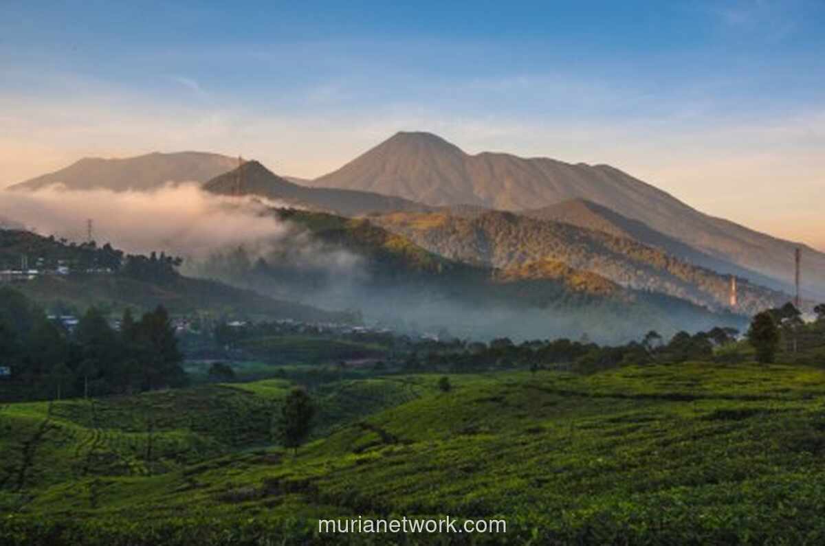 Cuaca Ekstrem Paksa Pendakian Gunung Gede Pangrango Ditutup Sementara