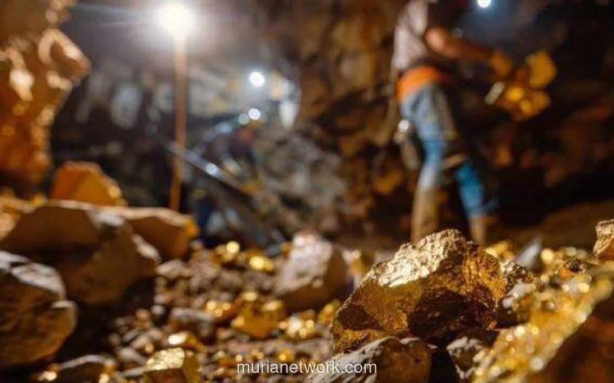 Satgas PKH Bergerak Usut Aliran Dana Rp992 Triliun dari Tambang Emas Ilegal