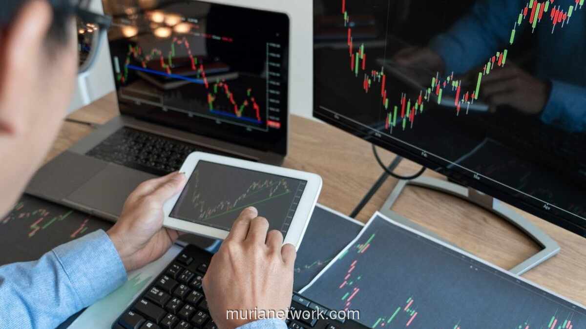 KSEI Siapkan Klasifikasi Baru Investor, Respons Teguran MSCI