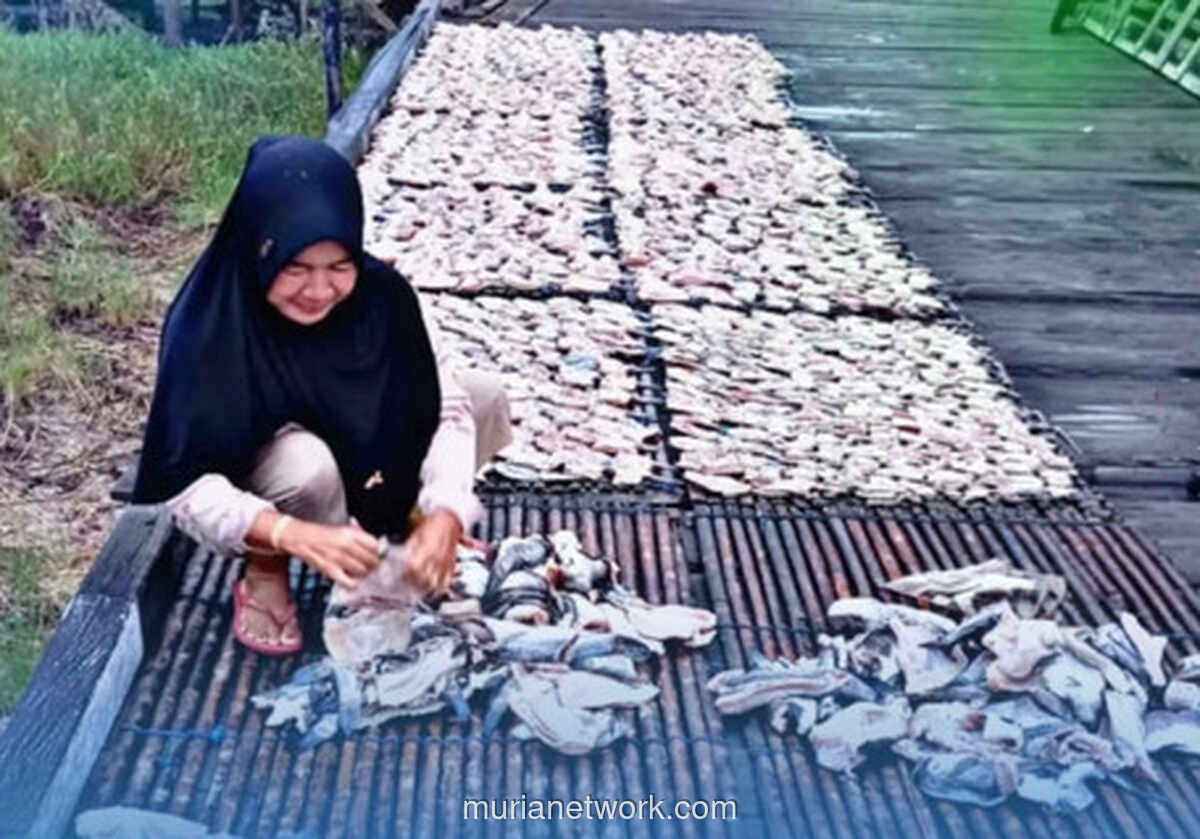 Dari Laut ke Pasar: Kisah Perempuan Pesisir yang Mengubah Ikan Jadi Rupiah