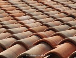 Gentengisasi: Dari Atap Rumah Hingga Kesehatan Bangsa