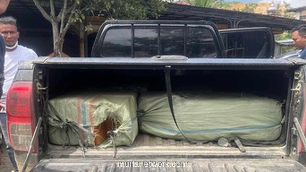 200 Kg Ganja Digagalkan di Langkat, Tiga Kurir Diamankan