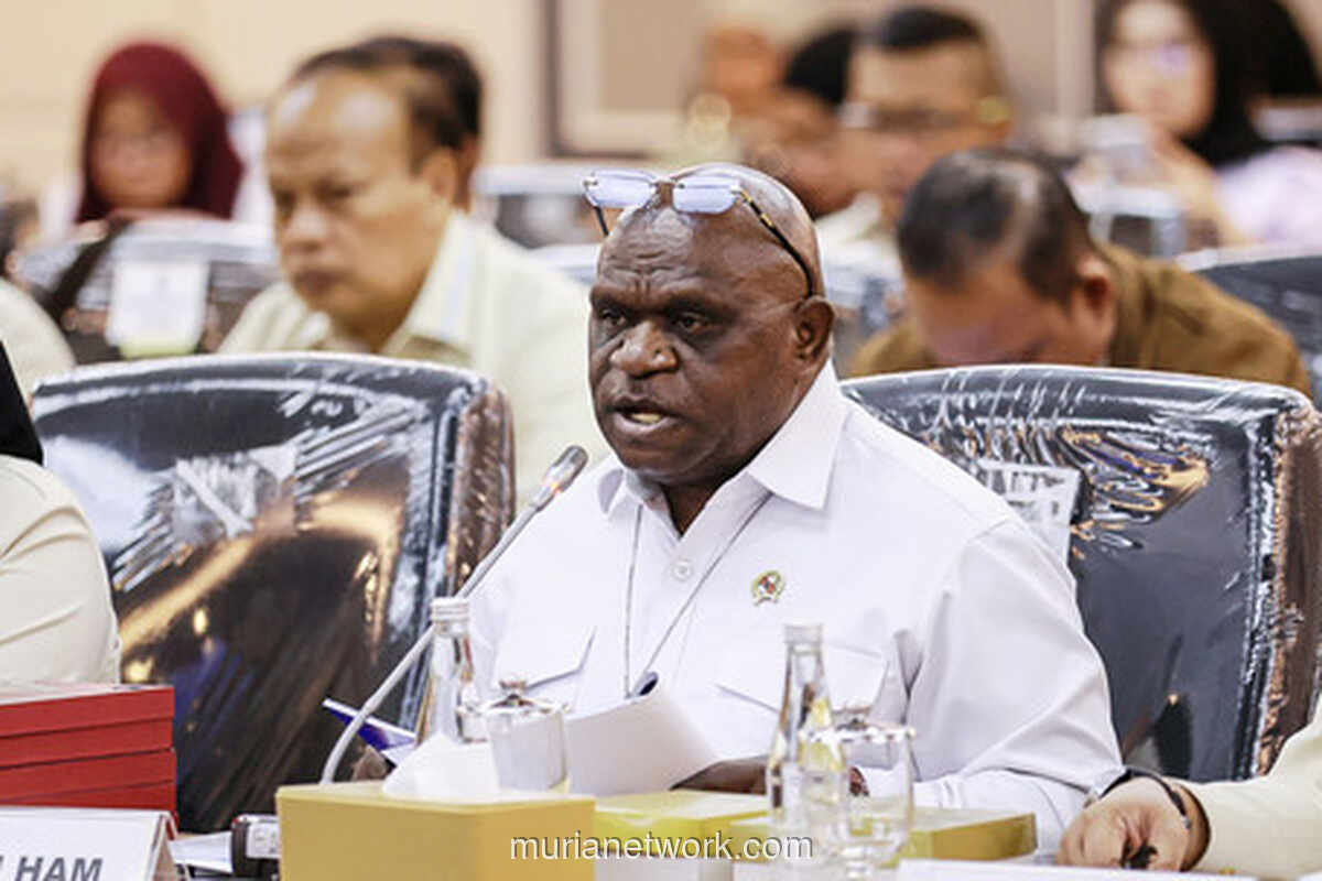 Pigai Bicara RUU HAM: Dari Penyidikan Hingga Imunitas Aktivis