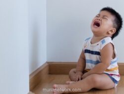 Menghadapi Badai Emosi Balita: Kisah Nyata Para Ibu Lewati Fase Terrible Two