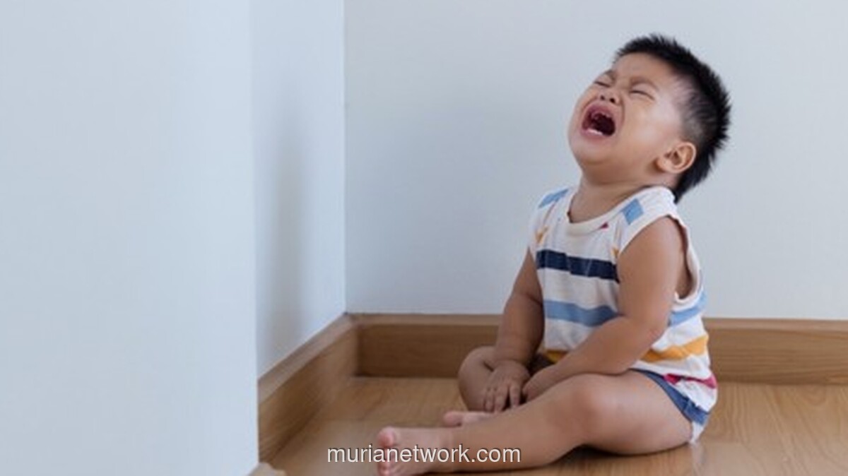 Menghadapi Badai Emosi Balita: Kisah Nyata Para Ibu Lewati Fase Terrible Two