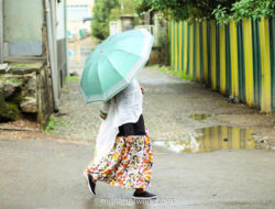 Petrichor: Aroma Hujan yang Menenangkan Pikiran dan Mengembalikan Keseimbangan