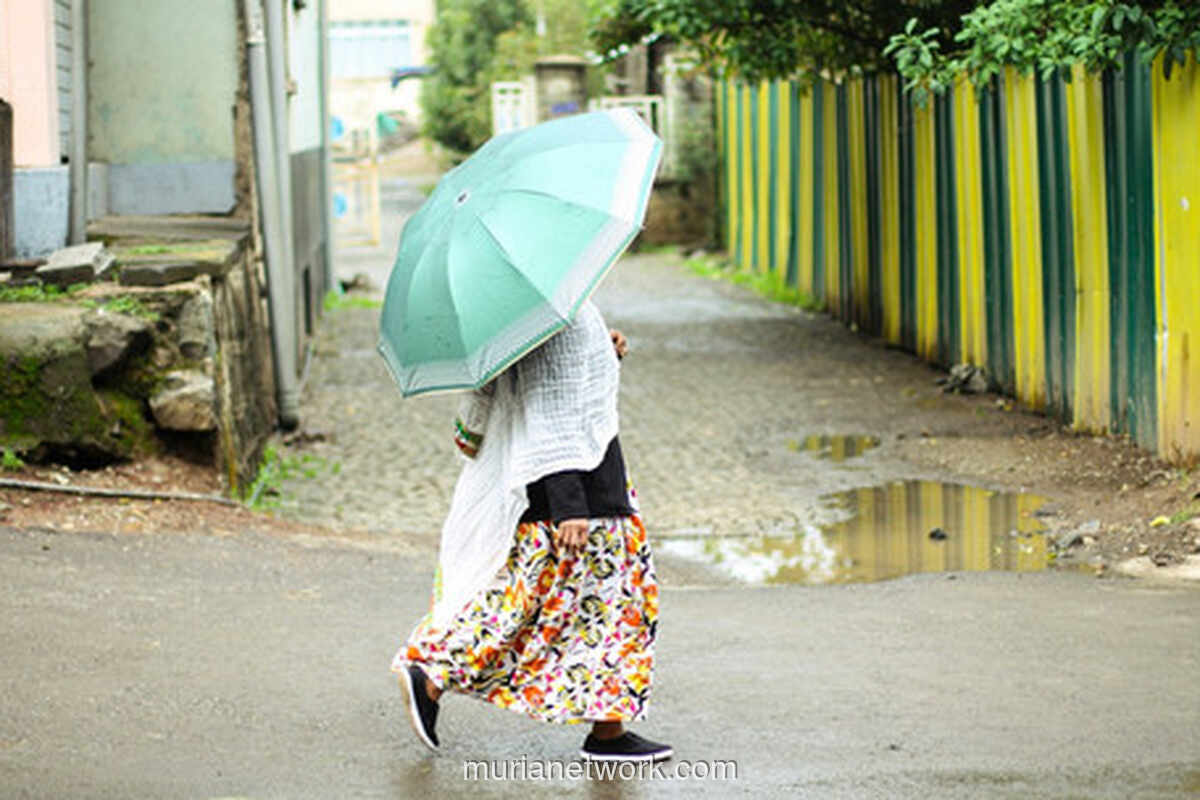 Petrichor: Aroma Hujan yang Menenangkan Pikiran dan Mengembalikan Keseimbangan