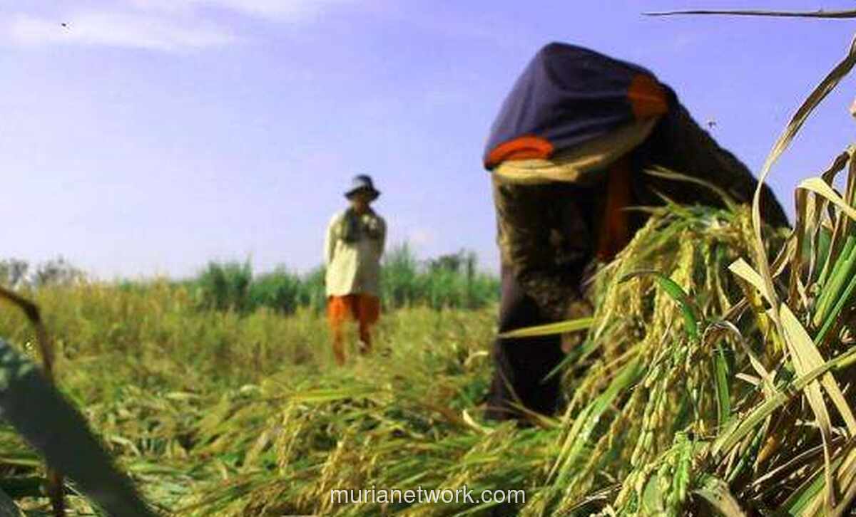 Nasib Petani Tertekan, Nelayan Tersenyum di Awal 2026
