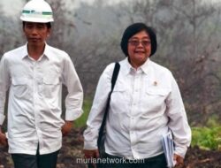 Penggeledahan Rumah Siti Nurbaya: Benang Kusut Pemutihan Sawit Ilegal Terbongkar