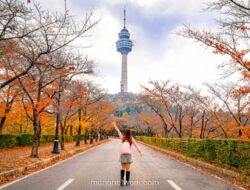 Wisatawan Indonesia ke Korea Selatan Tembus Rekor Tertinggi Sepanjang Masa