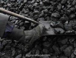 Enam Proyek Hilirisasi Batu Bara Siap Dimulai Awal 2026