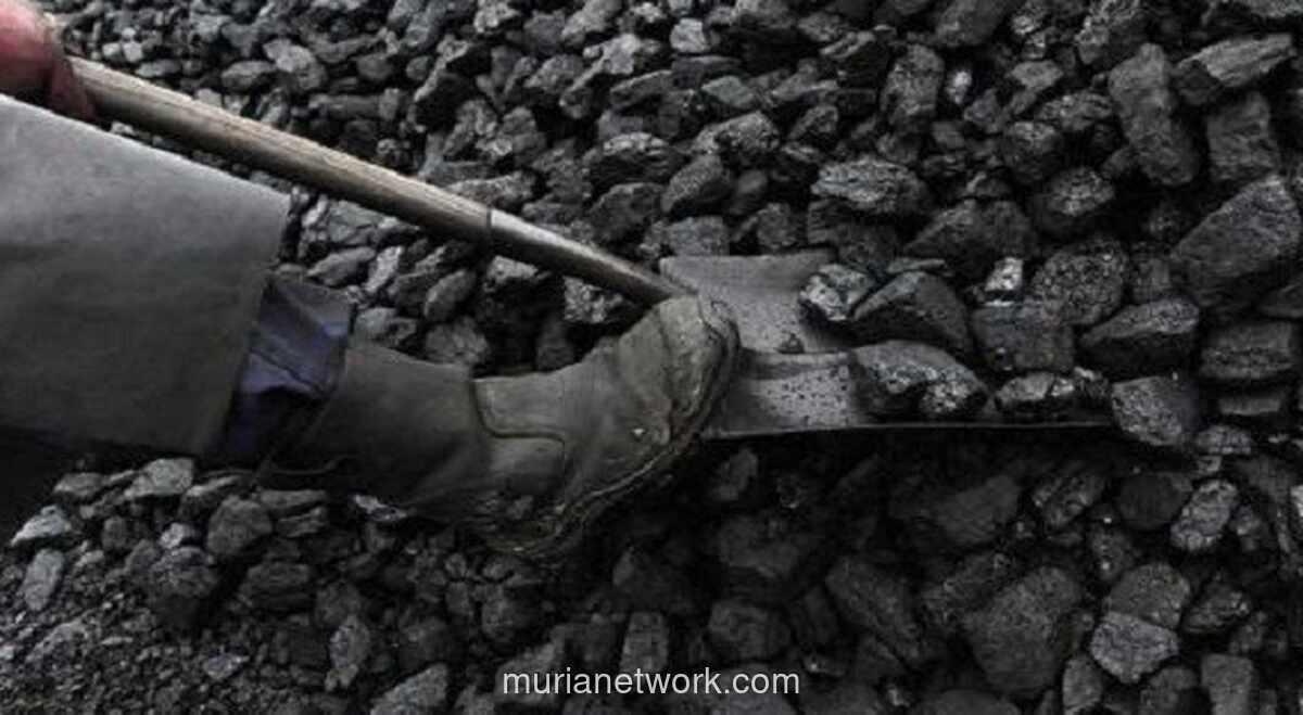 Enam Proyek Hilirisasi Batu Bara Siap Dimulai Awal 2026