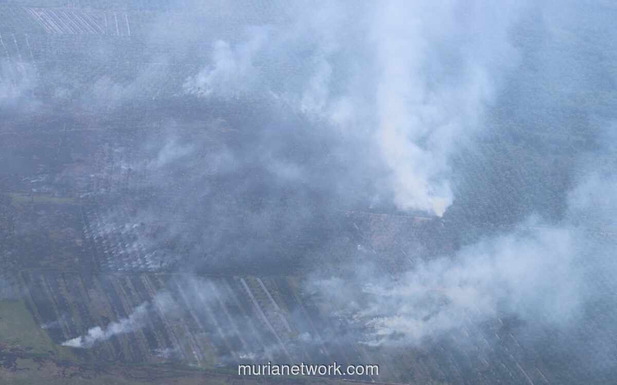 BNPB Wanti-wanti: 2027 Jadi Tahun Kritis Siklus Karhutla