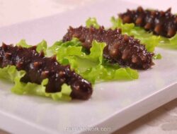 Teripang: Kisah Ginseng Laut yang Diperebutkan dari Dasar Samudra