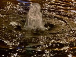 Guncangan Pasar Modal: BEI dan OJK Diuji Kembalikan Kepercayaan yang Retak