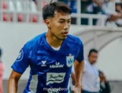 Kucing Domestik: Dari Pemburu Liar hingga Sahabat Sofa