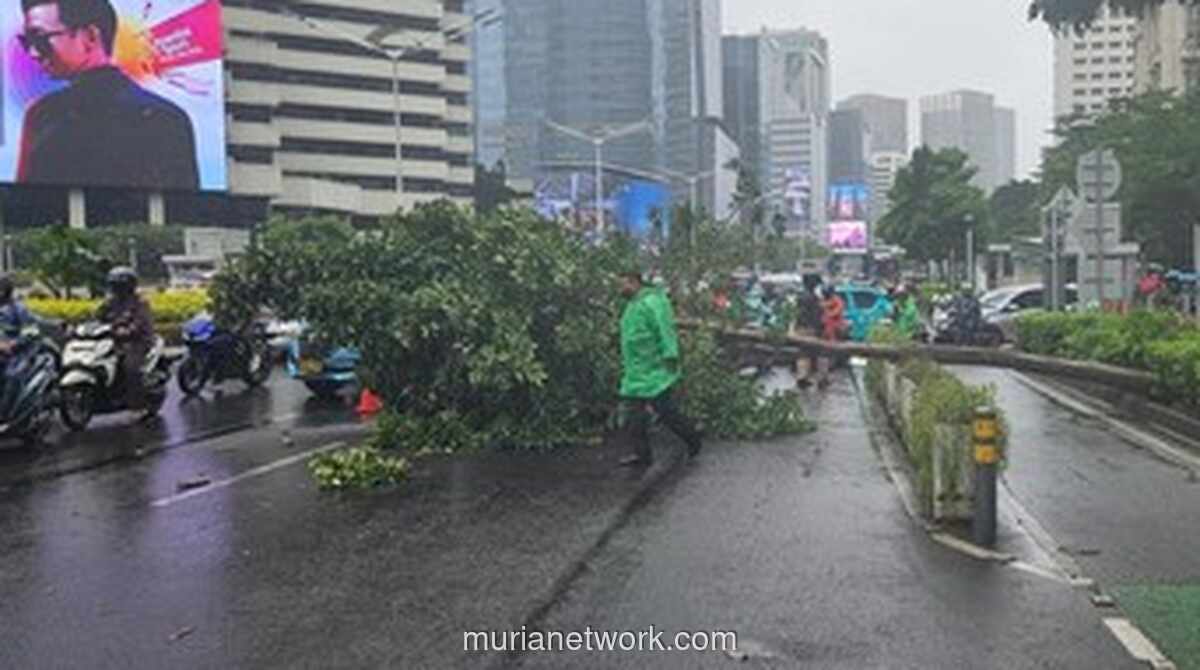 Pohon Tumbang di Jalan Sudirman Pagi Ini, Lalu Lintas Menuju Bundaran HI Macet Parah