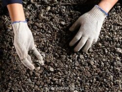 Analis Proyeksikan Kinerja Tambang Logam Menguat di Kuartal IV-2025