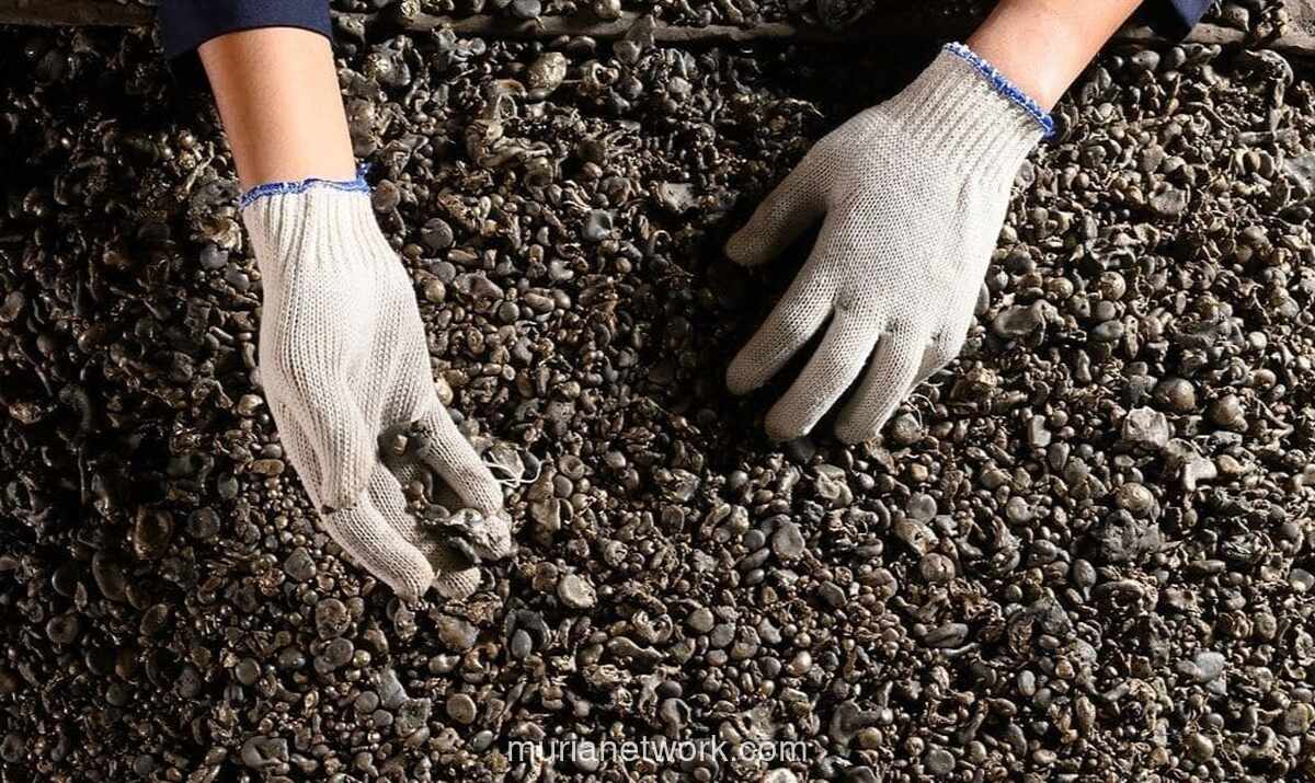 Analis Proyeksikan Kinerja Tambang Logam Menguat di Kuartal IV-2025