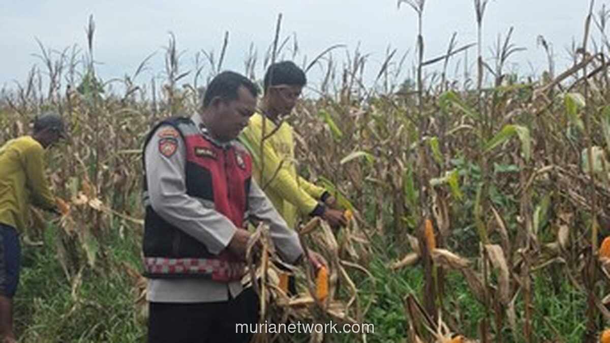 Anggota Polri Inovasi Mesin Pertanian, Dongkrak Ekonomi Petani Ogan Ilir