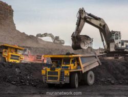 Dragonmine Akuisisi 80% Saham BLUE, Rencanakan Transformasi ke Bisnis Tambang Langsung