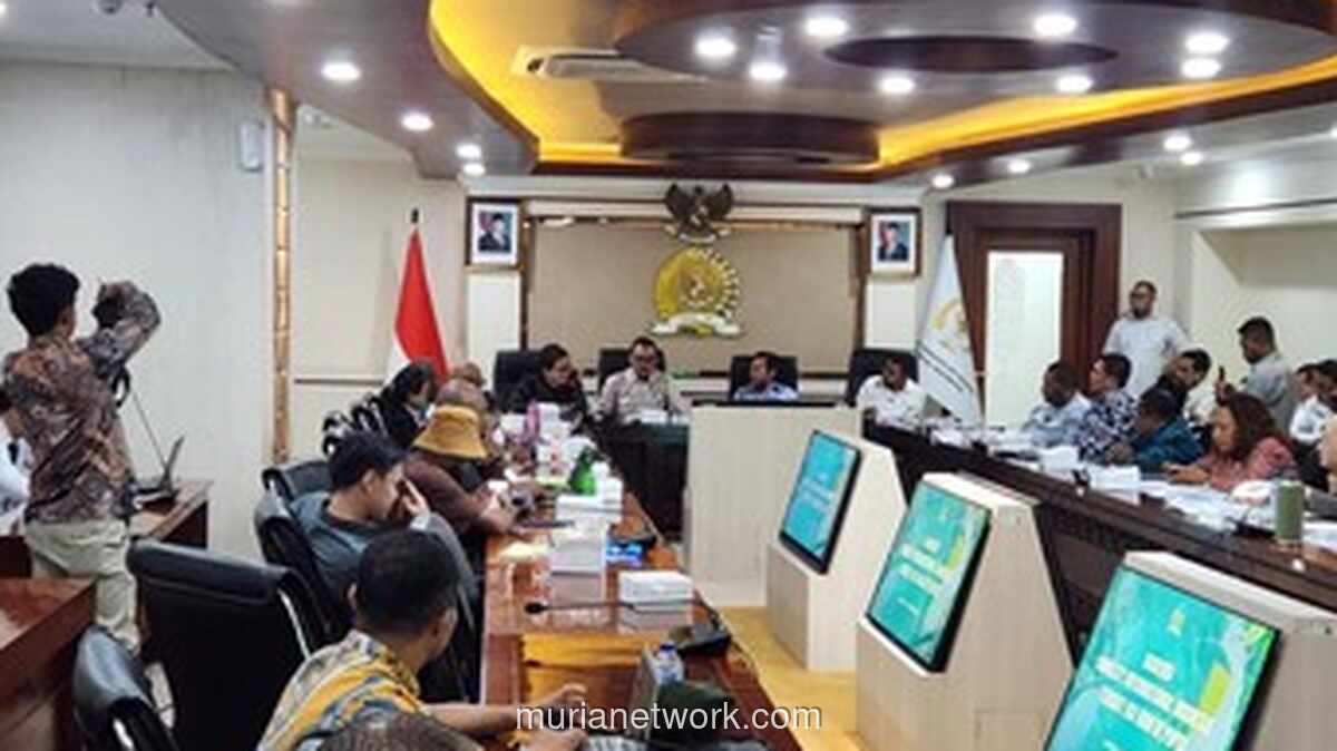 DPD RI Terima Laporan Pelanggaran HAM di Papua Pegunungan dari Amnesty International