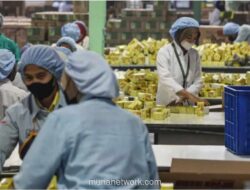 BPS: Pengangguran Turun, Namun Kualitas Pekerjaan dan Upah Masih Jadi Tantangan